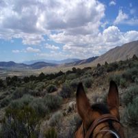 Looking towards Antelope Valley